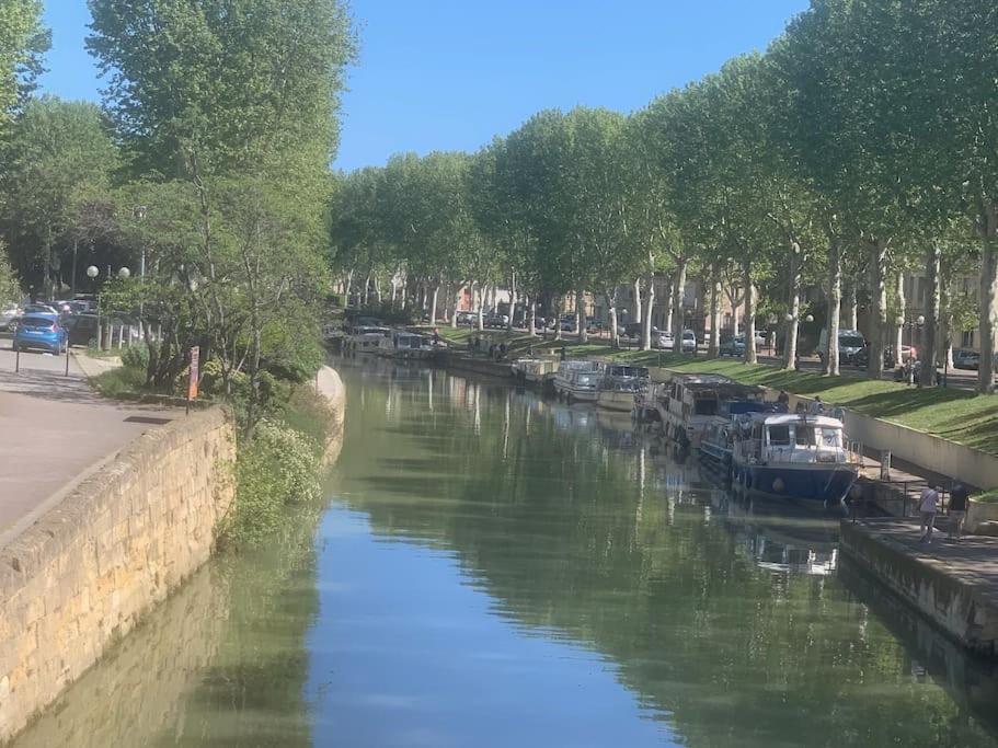 Studio Pres Des Grands Buffets, Narbonne ناربون المظهر الخارجي الصورة