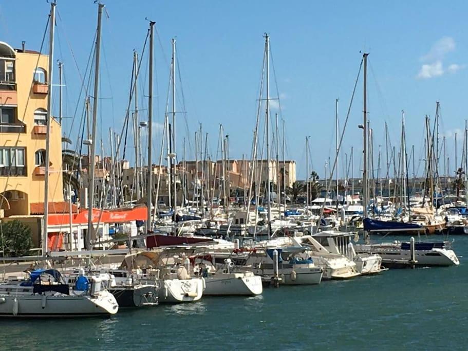 Studio Pres Des Grands Buffets, Narbonne ناربون المظهر الخارجي الصورة